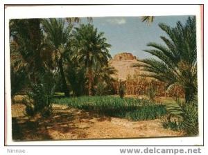 4177- EL GOLEA-- vue du vieux ksar