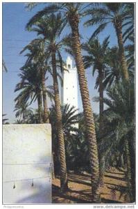 Algérie - El Golea  La Mosquée