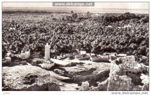 algérie - El Golea - vue générale de l'oasis