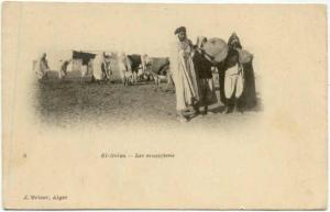 EL-GOLEA - Les musiciens