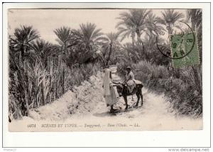 Touggourt - dans l'oued