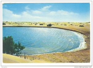 B3057 Algerie - Environs de Touggourt - Temacine / non viaggiata