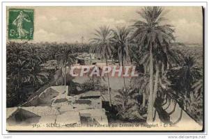 CPA Palmiers Algerie Une palmeraie aux environs de Touggourt