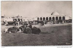 ALGERIE - TOUGGOURT  -SUR LE MARCHE