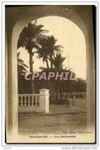 CPA Touggourt Une Palmeraie