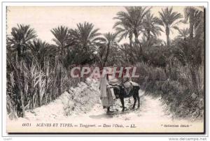 CPA Scenes et Types Touggourt Dans I Oasis Ane Donkey