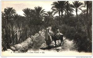 TOUGGOURT-DANS L'OASIS-AUTREFOIS-