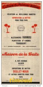 CULTURE DU PALMIER DATTIER / MAISON DE LA DATTE / RANNOU / TOUGGOURT / ALGER  /  PUB 1949