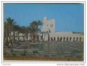 C. Postale  ALGERIE - TOUGGOURT - HOTEL OASIS - PISCINE