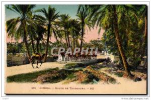 Algerie Biskra Constantine CPA Route de Touggourt