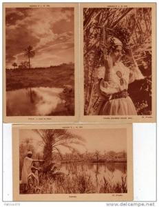 ALGERIE - LOT de 10 CARTES M'Sila Femme indigène Ouled Mail Djamaa Colomb Béchar Touggourt Ghardaia Rouffi Goléa Kabylie