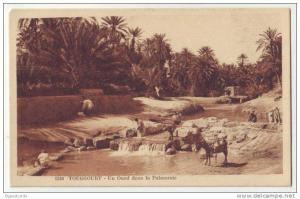 Touggourt