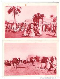 algerie  (touggourt) 2 cpa