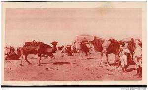 carte sépia L´ALGERIE  Convoi de Chameaux en Gare de Touggourt