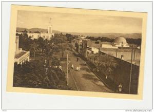 BISKRA  Route de Biskra à Touggourt