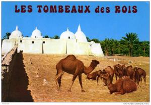 ALGERIE.   TOUGGOURT.  Wilaya de Ouargla  ( les tombeaux des rois )