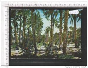 S63048 ALGERIA TOUGGOURT PLACE DE LA LIBERTE