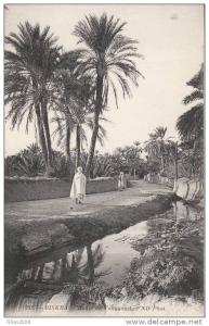 ALGERIE -   BISKRA  - Route de Touggourt