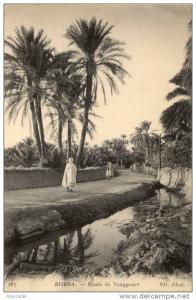 CPA - Biskra - route de Touggourt