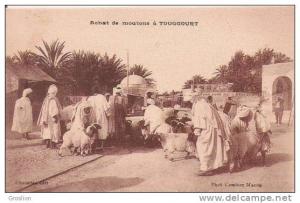 ACHAT DE MOUTONS A TOUGGOURT (BELLE ANIMATION)