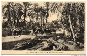 62487  - Maroc    Biskra     Routes de Touggourt