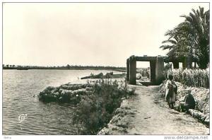 CPSM             Environs de Touggourt    Temacine   Bord du Lac        animée            G-208
