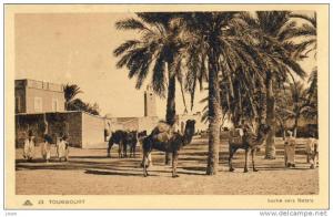 Touggourt.Sortie vers Netzla