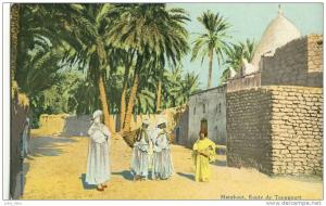 Marabout , route de Touggourt .  Animée .   SUPERBE CARTE .