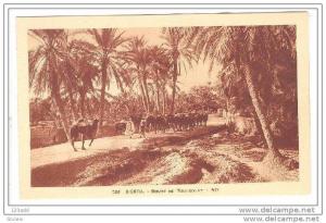 Africa Algeria Alger- Biskra Route de Touggourt , 00-10s