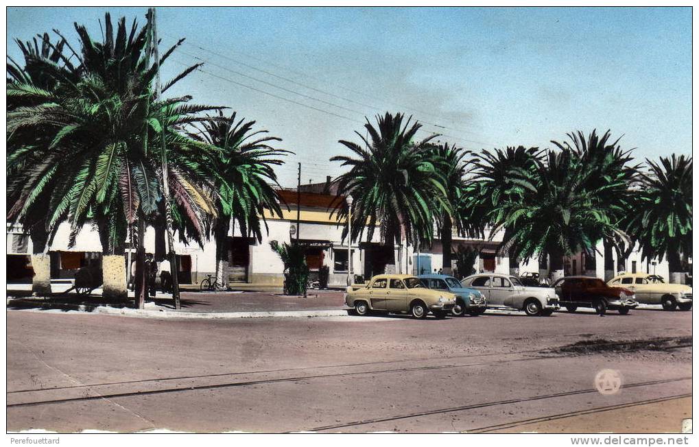 * (ALG)  ARZEW *  VOITURES