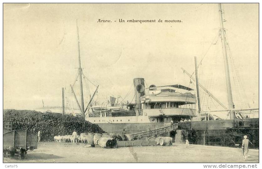 ALGERIE - Arzew - Embarquement de moutons - Port Paquebot