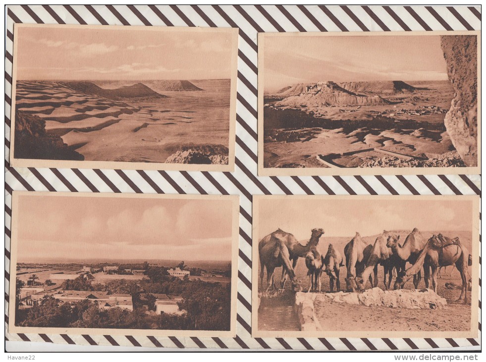 3AC1109 EL GOLEA lot de 4 cartes 2  SCANS