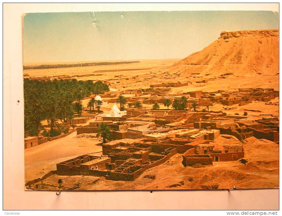 El Goléa - Le Marabout et le vieux Ksar