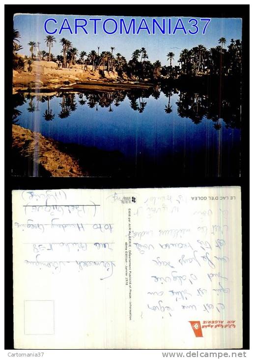 afrique-1356      algerie lac d'el golea