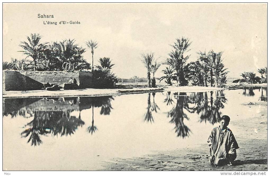 ALGERIE SAHARA  ETANG D´EL GOLEA  El-Menia et Tahoret    COLLECTION AFRICAINE (scan recto verso)