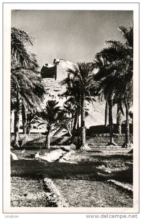 EL GOLEA - La vieille forteresse berbere