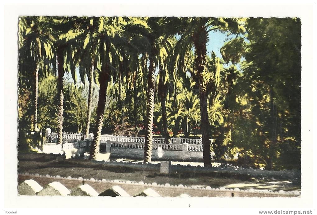 cp, Algerie, El Goléa, Jardins de l'Annexe, Parc aux Gazelles