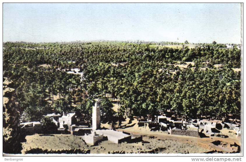 El Golea  palmeraie vue générale