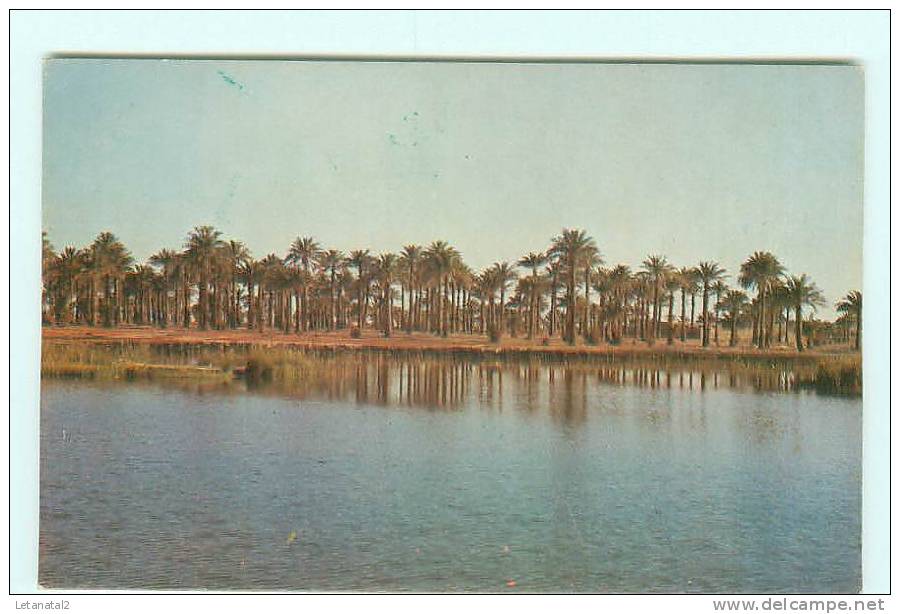 EL GOLEA , El Menia , Le chott