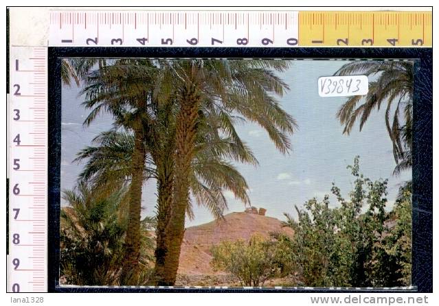 V39843 ALGERIA EL GOLEA TIMBOUZID PANORAMA