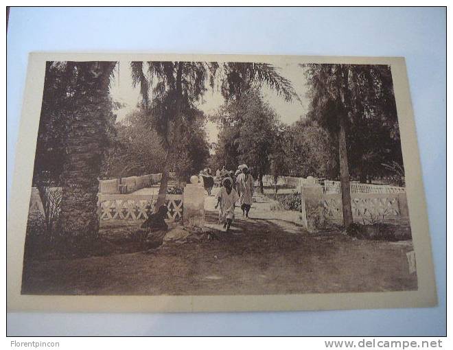 ## ACHAT IMMEDIAT## ALGERIE EL GOLEA LE JARDIN PUBLIC ANIMATION