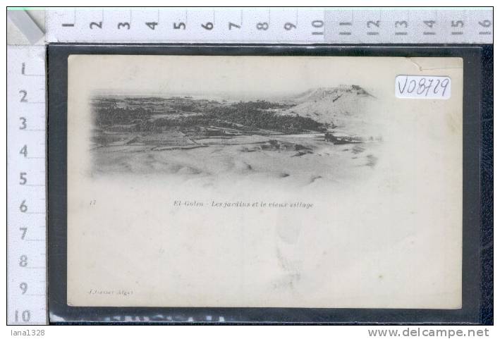 V08729 ALGERIA EL GOLEA LES JARDINS ET LE VIEUX VILLAGE