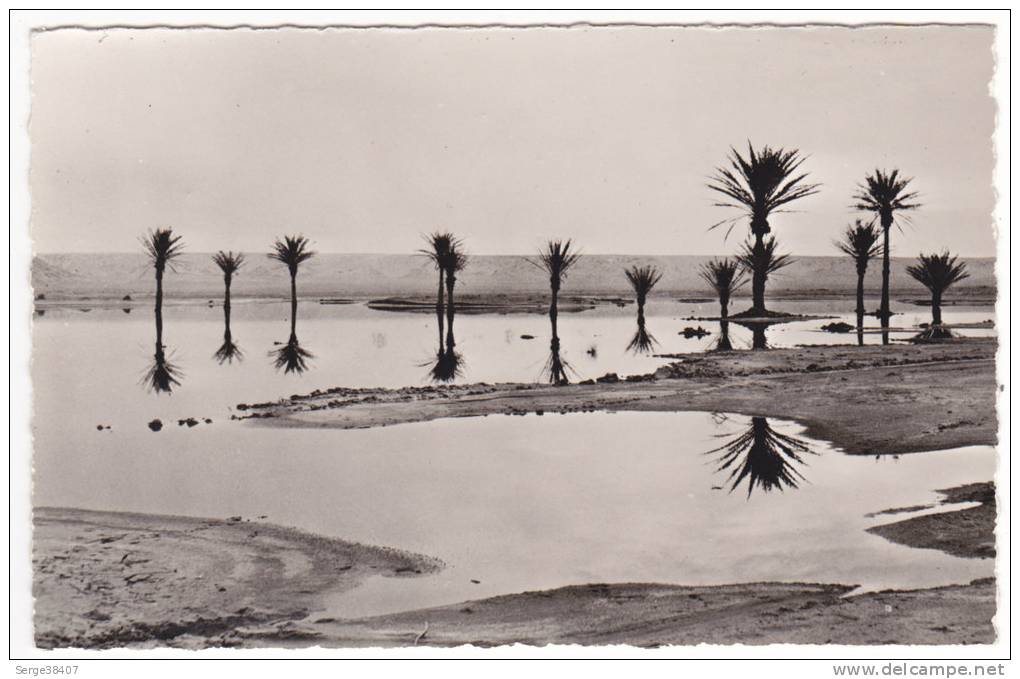 Prix fixe - El Golea - La Sebkha d´El Melah # 10-10/16