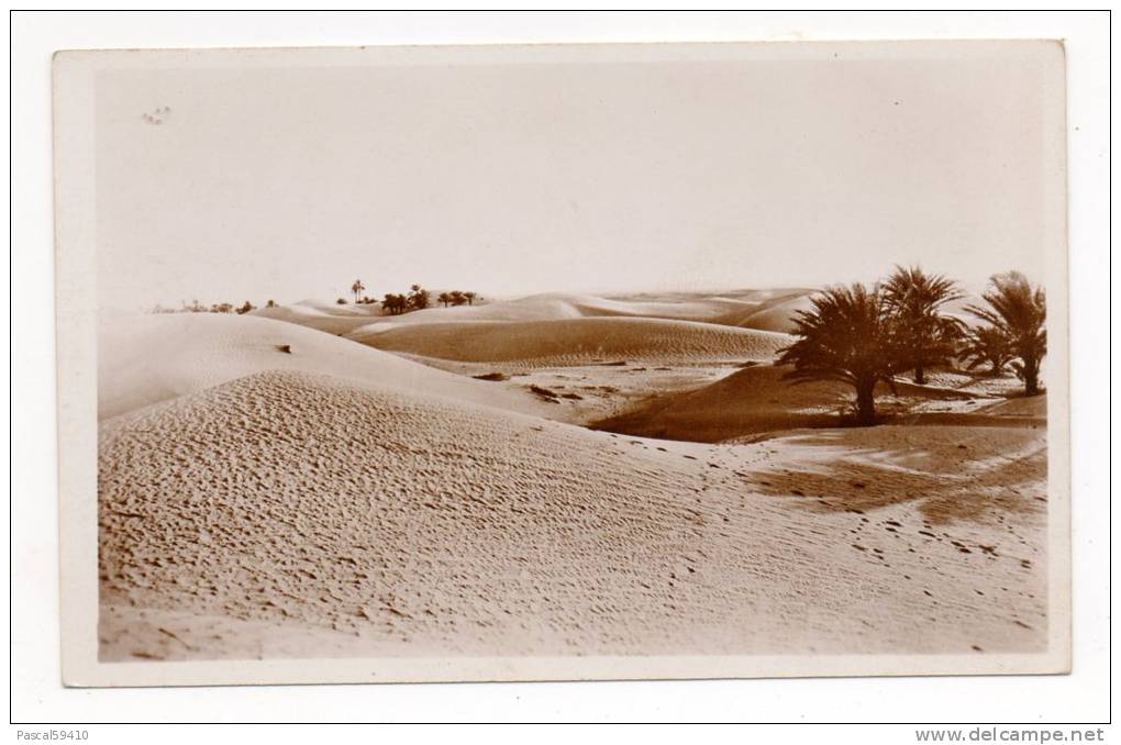Algérie -EL GOLEA -Les dunes et type de palmeraie non irriguée