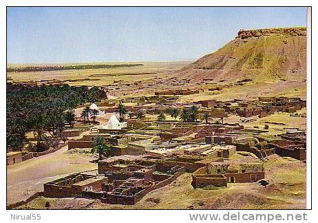 Algérie   EL GOLEA Le Marabout et le vieux Ksar