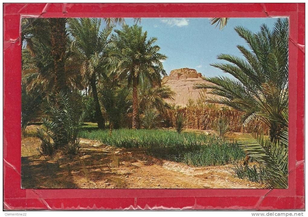 4177 EL GOLEA Vue du vieux ksar