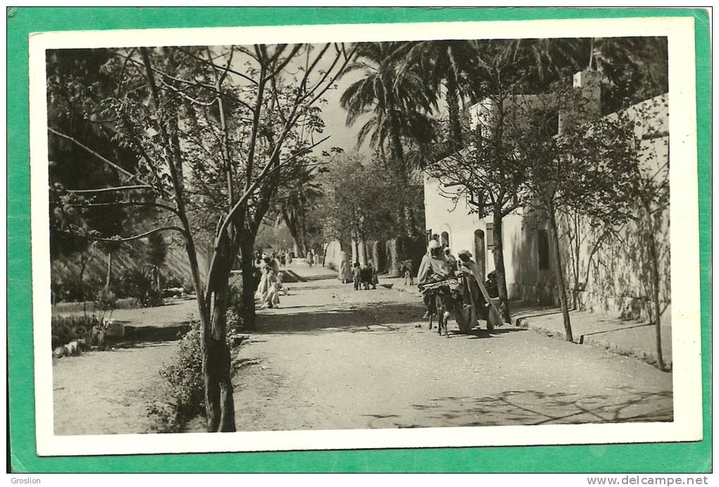 EL GOLEA  - UNE RUE  30