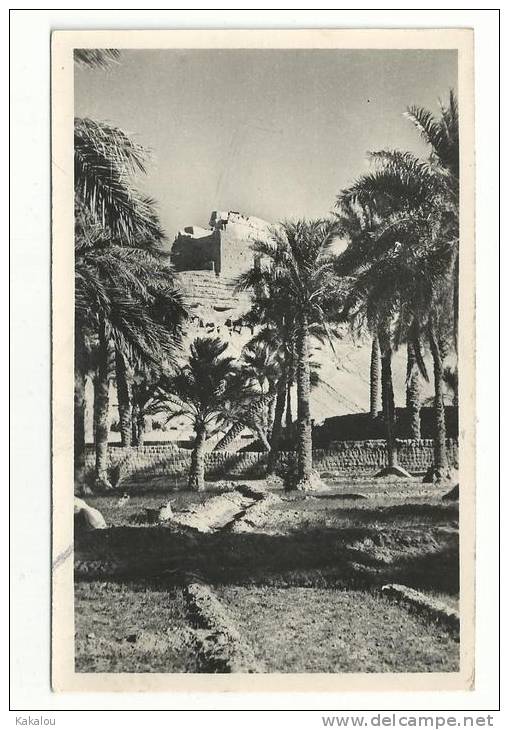 EL GOLEA (algerie ) forteresse berbere KSAR