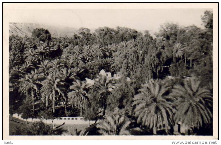ALGERIE  EL GOLEA  Jardins de l'annexe. Demeure du Chef d'Annexe  ...... ( Ref FA962 )