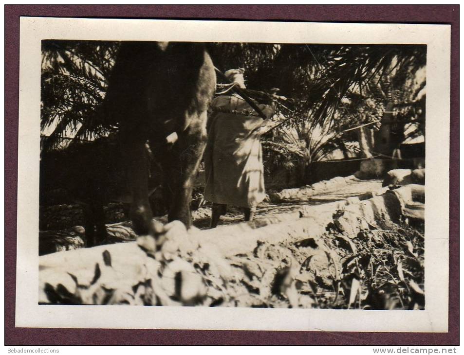 Belle photo ALGERIE 1932 - EL GOLEA - PUITS - HOMME ARABE ET SON ANE